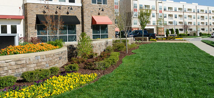 Commercial Property Maintenance